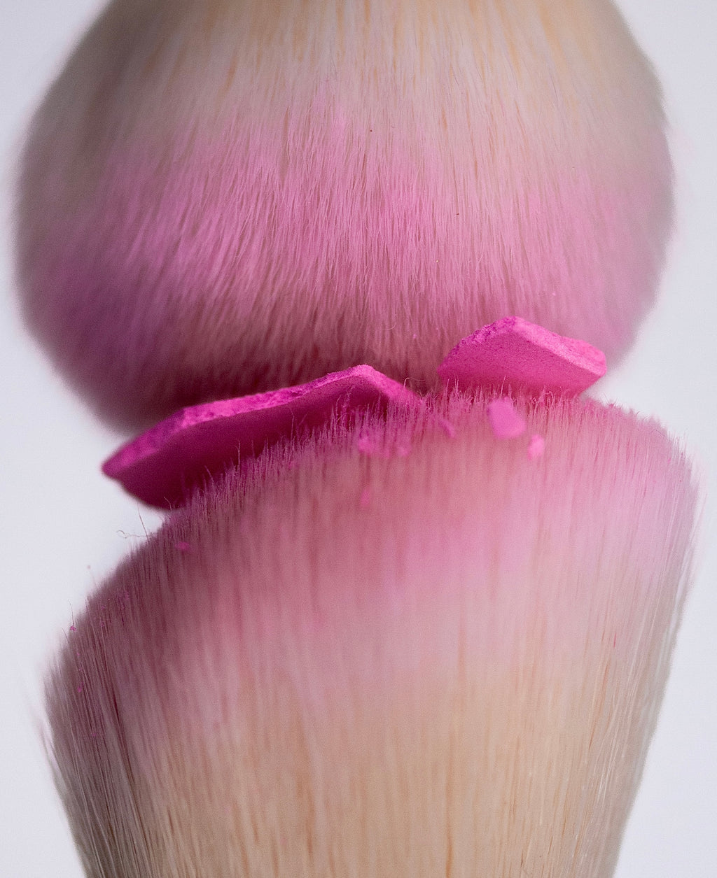 005 Angled Blush + Bronze Brush
