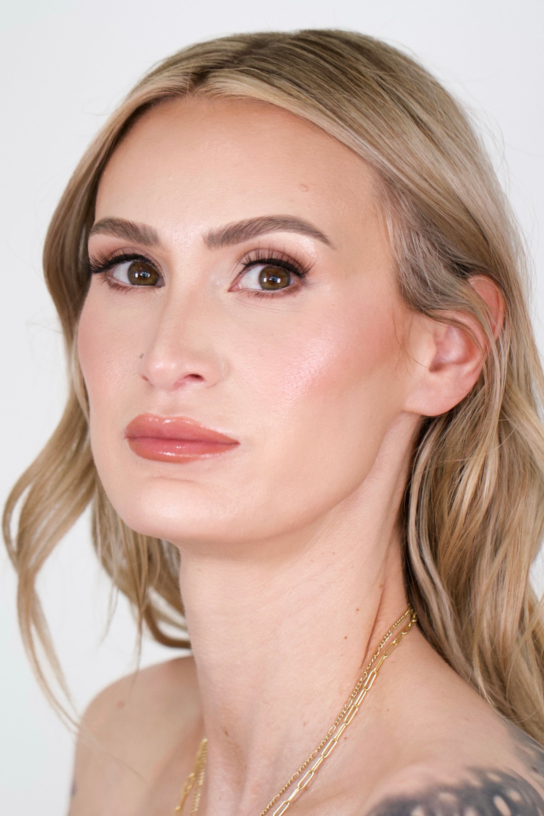 003 Large Contour + Highlight Brush