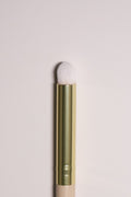 020 The Spot Touch Brush