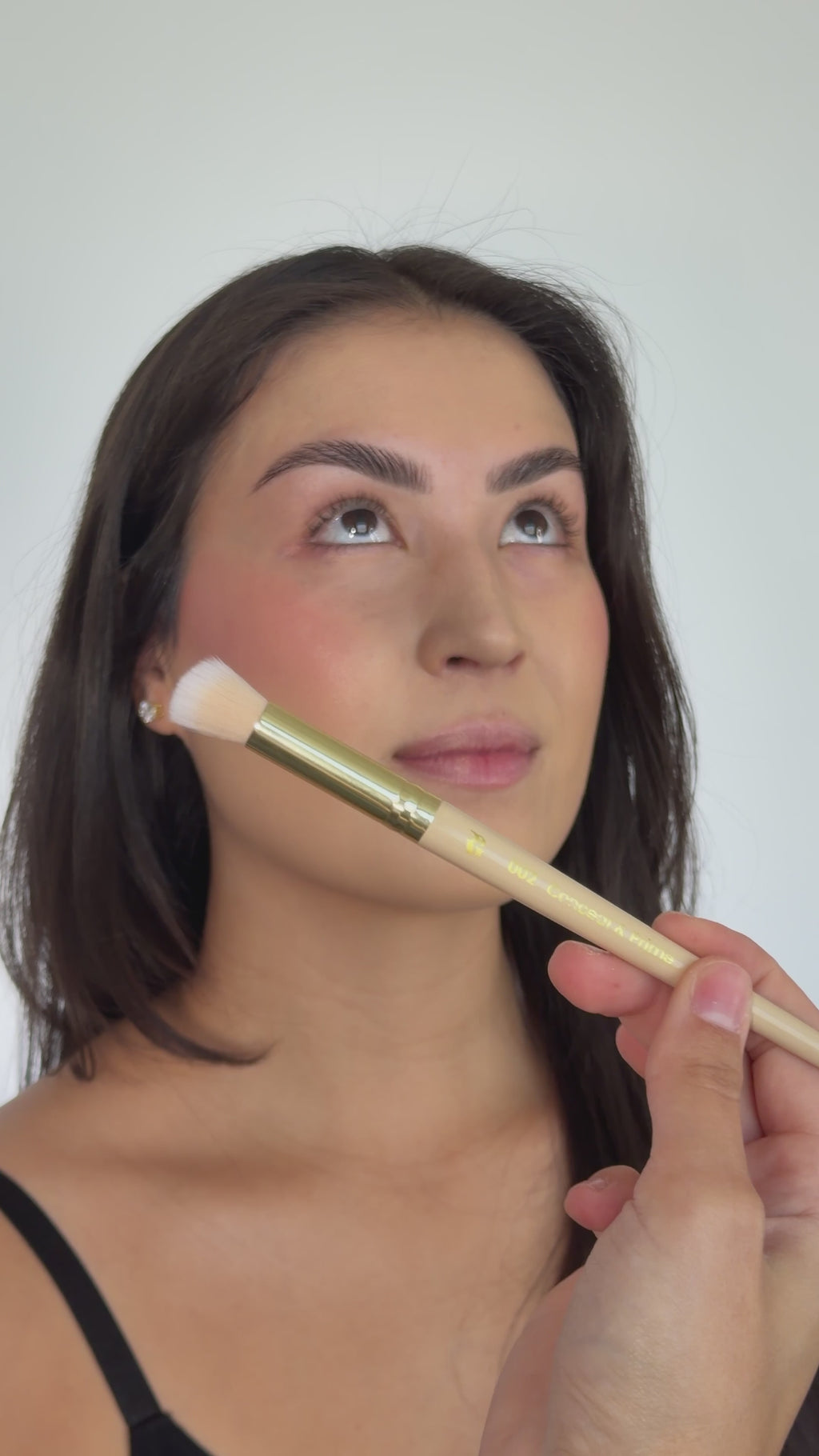 002 Conceal + Prime Brush