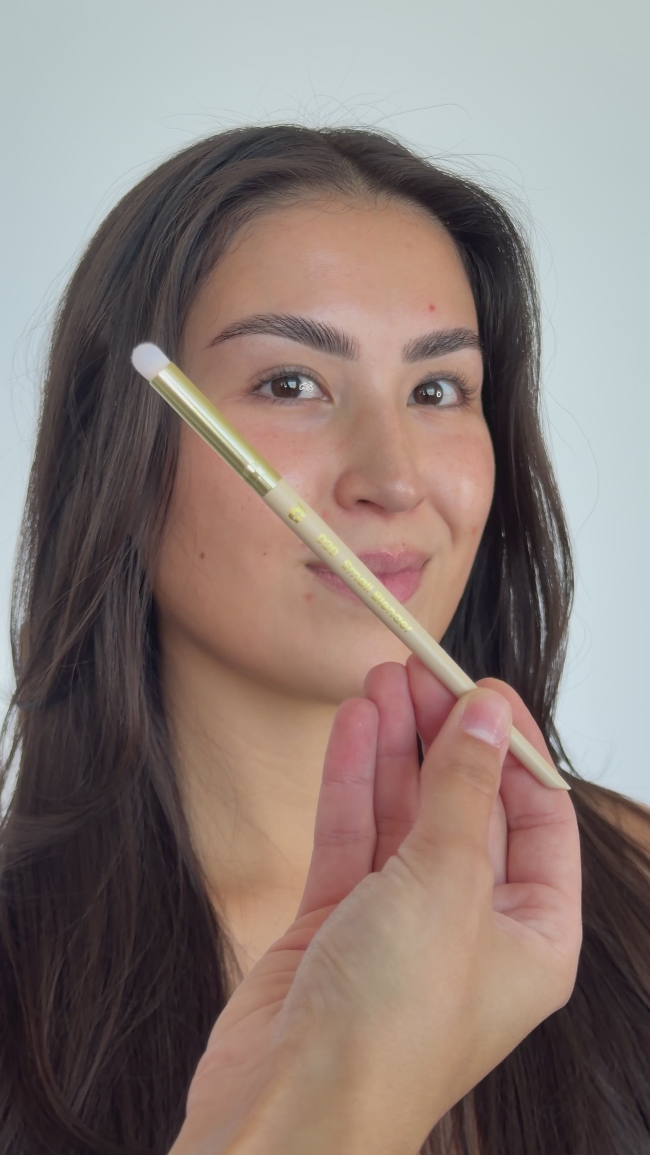 020 The Spot Touch Brush