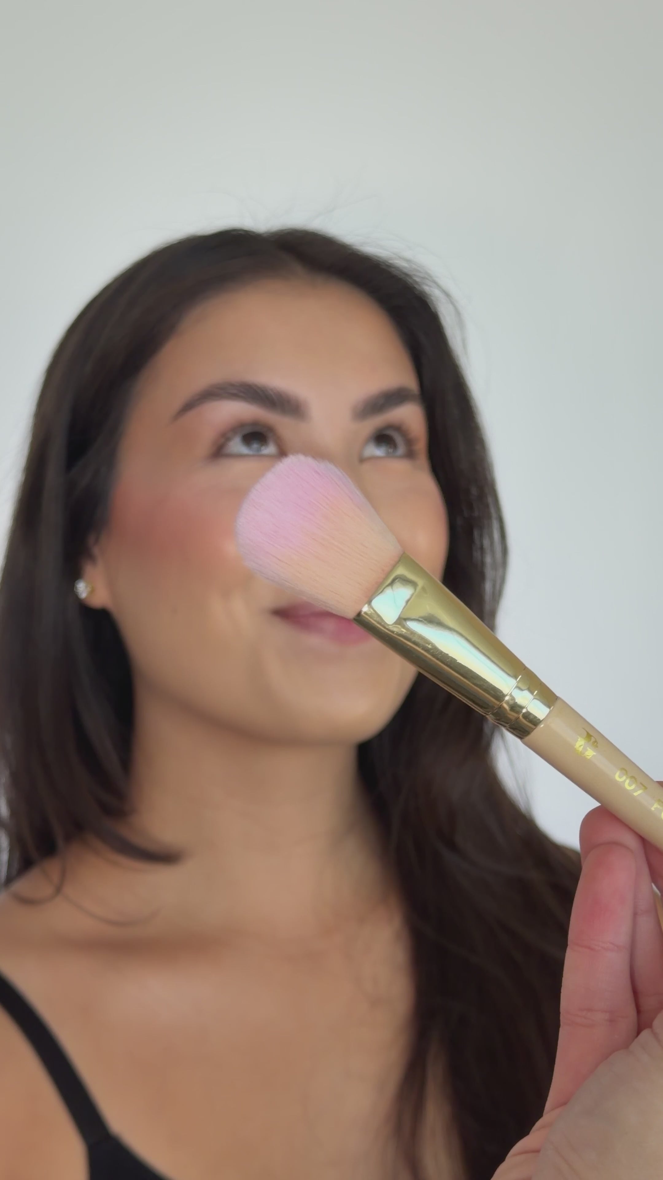 007 The Powder Brush