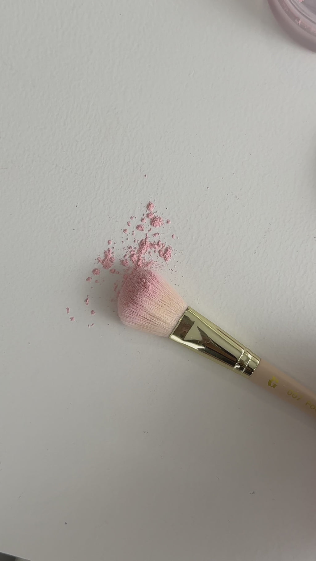 007 The Powder Brush